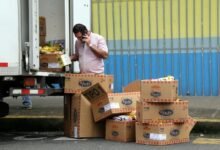 daily call distribution analysis