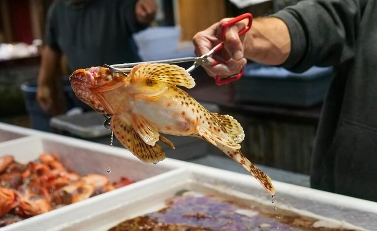 hotline demand analysis report