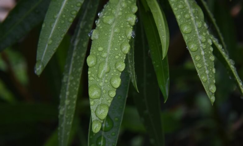 regional call drop metrics