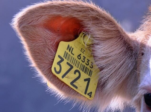 regional call tracking system