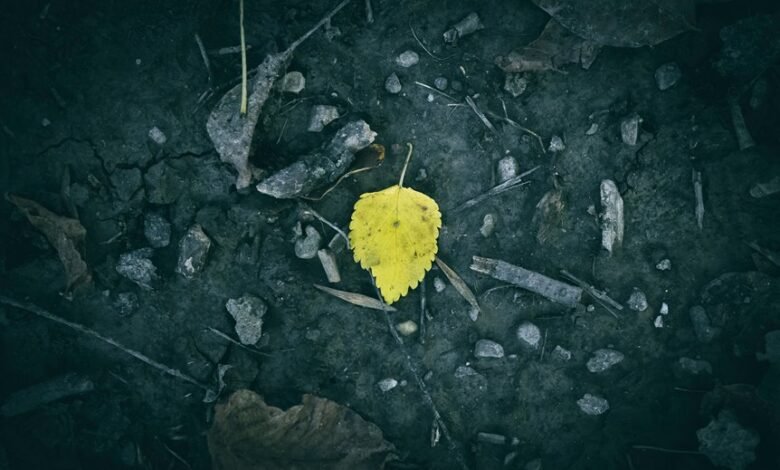 seasonal demand pattern changes