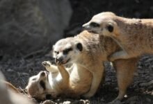 family discussion about hacks