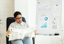 kashyeportazza ltd updates released