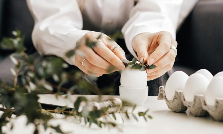 mysk2 dyndns organization details