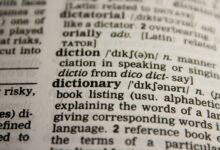 website about willis quotes